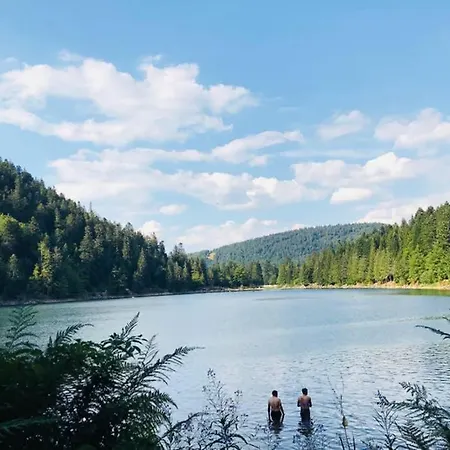 Lullaby House - Large, Full Comfort 5 Star House In The Vosges *