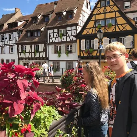 Lullaby House - Large, Full Comfort 5 Star House In The Vosges * Ramonchamp