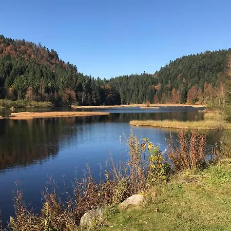 Lullaby House - Large, Full Comfort 5 Star House In The Vosges Chalet *