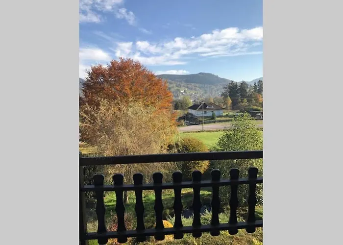 シャレー Lullaby House - Large, Full Comfort 5 Star House In The Vosges