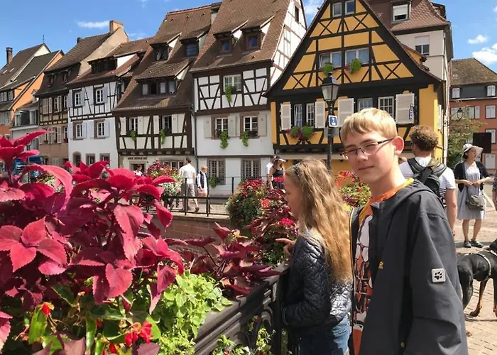 Lullaby House - Large, Full Comfort 5 Star House In The Vosges * Ramonchamp